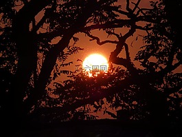 太陽,背光,心情