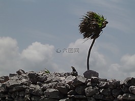 風(fēng),景觀,天空