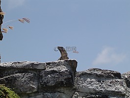 天空,性質(zhì),景觀