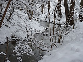 冬天,過獨(dú)身生活,水