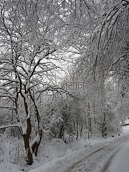 冬天,景觀,雪