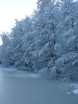 冬天,樹木,湖