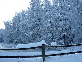 冬天,樹木,湖