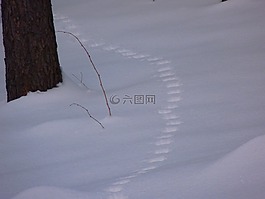 雪,痕跡,斯諾巷