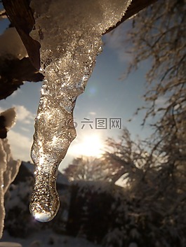 冰柱,冰,冷