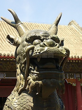 中國,龍,神秘生物