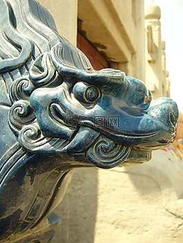 中國,龍,神秘生物