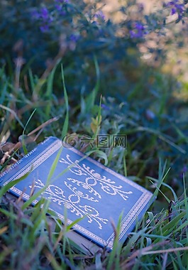 書,草,綠色
