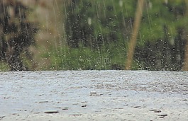 雨,焦點(diǎn),照片