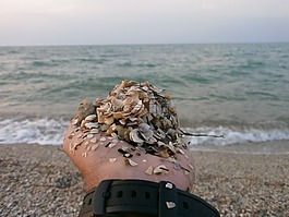 海,手,砂