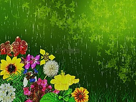 鮮花組成,鮮花,性質(zhì)