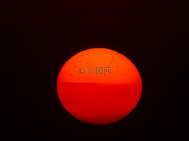 太陽,火球,鳥類