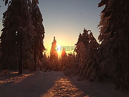 寒冬,日落,雪