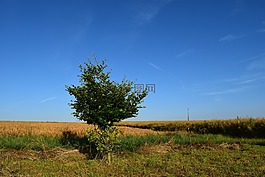 字段,農(nóng)業(yè),性質(zhì)
