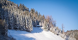 景觀,冬天,雪