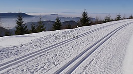 滑雪越野滑雪,黑色的森林,冬天