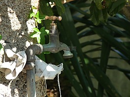 水龍頭,靜物,花園