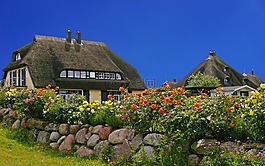 爾根,島,草堂