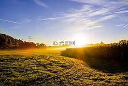 草地,日出,晨霧