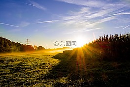 日出,晨霧,霧