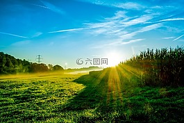 景觀,日出,晨霧