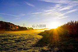 草地,日出,晨霧