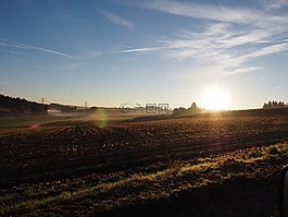 麥田,日出,晨霧