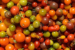 顏色,西紅柿,蔬菜