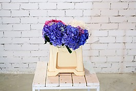 繡球花,綻放,花卉