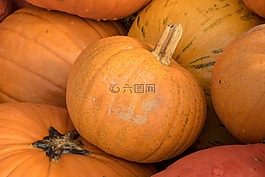 南瓜,秋季,橙