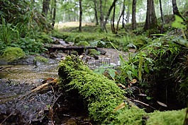 北海道,自然,河