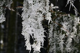 雪,水晶,冷