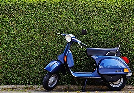 大黃蜂類,滾子,這輛摩托車