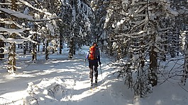 窮鄉(xiāng)僻壤skiiing,黑色的森林,滑雪
