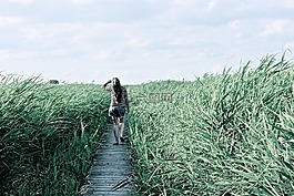 高草,步行,放松