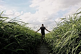 高草,步行,放松