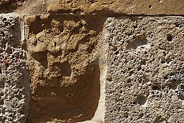 中世纪,字符,狮子