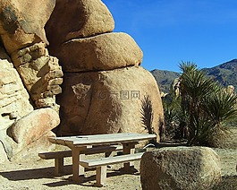 約書亞樹,國(guó)家公園,莫哈韋沙漠