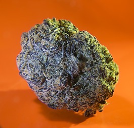 大麻,藥物治療,醫(yī)藥