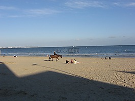 海滩,大西洋,马