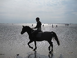 海滩,瑞特,大西洋