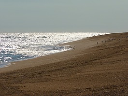 海灘,海,波