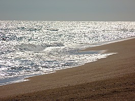 海灘,海,波