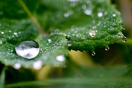 一滴水,水,滴