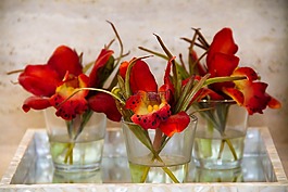 裝飾,花卉,紅色