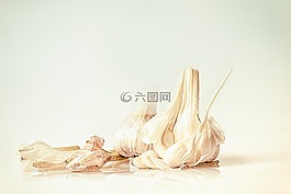 大蒜,甜甜大蒜,大蒜丁香