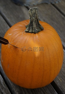 南瓜,萬(wàn)圣節(jié),秋季