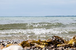 海灘,波,海