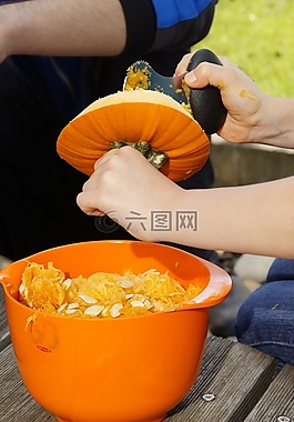 南瓜,萬圣節(jié),秋季