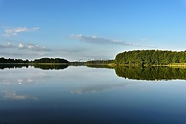 湖,夏天,森林